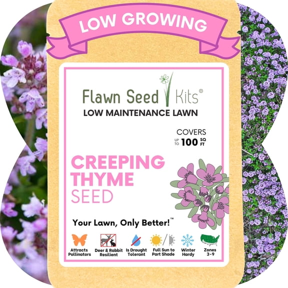 Flawn Seed Creeping Thyme, ~2,500 Seeds, Pollinator Friendly, Low Maintenance, Lawn Alternative, Ground Cover, Compostable Pouch, Up to 100 SqFt