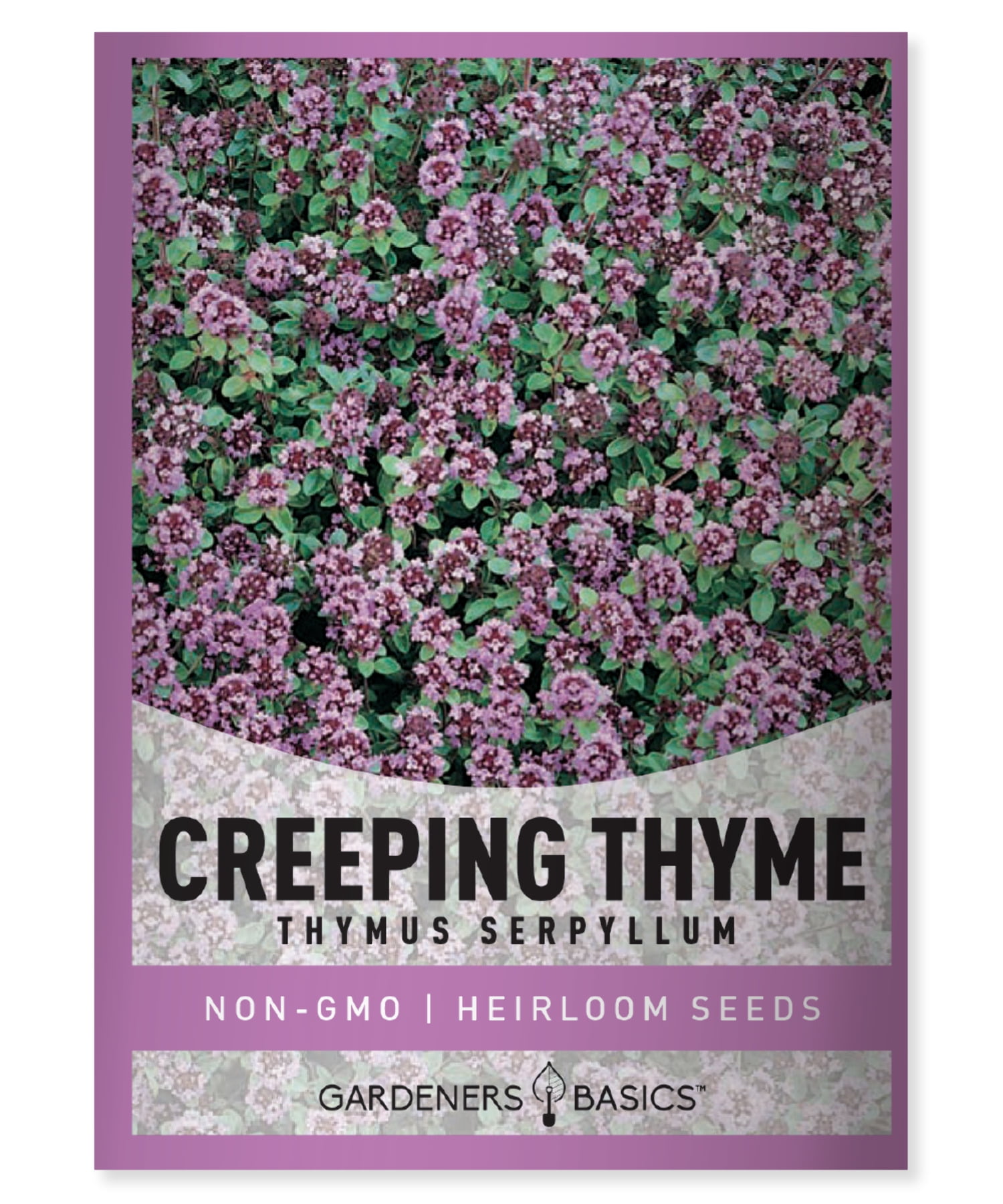 Creeping Thyme Seeds