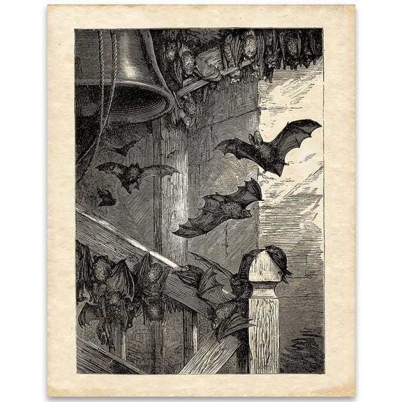 Creepy Ancient Bat Etching Art Print - Great Gift and Decor for Halloween, Bat Biologists and Bat Fans Black, White, Gray