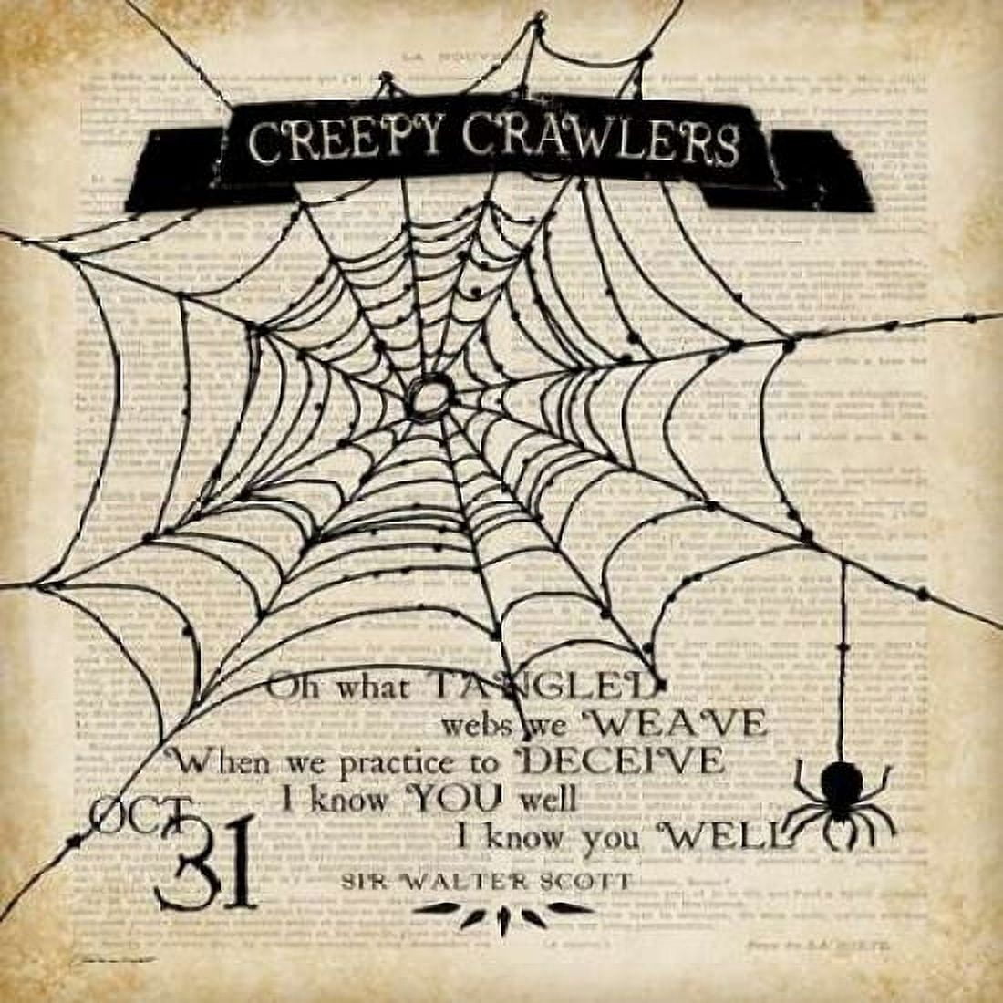 Creepy Crawlers Canvas Art - Stephanie Marrott (24 x 24)