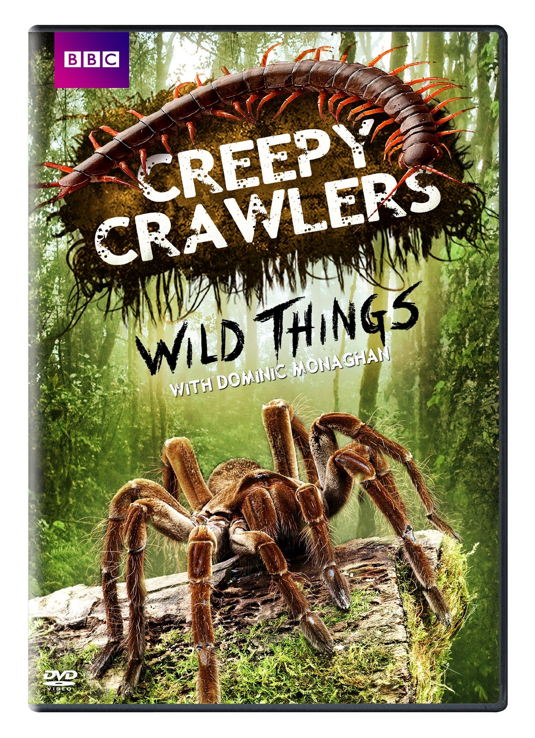 Creepy Crawlers: Wild Things with Dominic Monaghan [DVD] - image 1 of 2