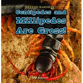 Pre-Owned Centipedes and Millipedes Are Gross! Creepy Crawlies Library Binding Leigh Rockwood