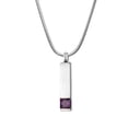 thumbnail image 1 of Cremation Jewelry Memorial Birthstone Bar Necklace Handcrafted Waterproof Human Ashes Urn Container with Free Funnel Kit and Velvet Jewelry Box [February], 1 of 7