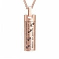 thumbnail image 1 of Cremation Jewelry Urn Necklace for Ashes, Pet Paw Print Memorial Pendant for Dog Cat Ashes Keepsake Locket for Men for Women(Rose Gold), 1 of 7