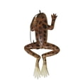 thumbnail image 1 of Creme 3" Tru-Lur Lifelike Frog Lure, Brown, 1 of 1