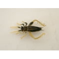thumbnail image 1 of Creme 5147-22 Small Brown Cricket Fly Fishing Lure, 1 of 1