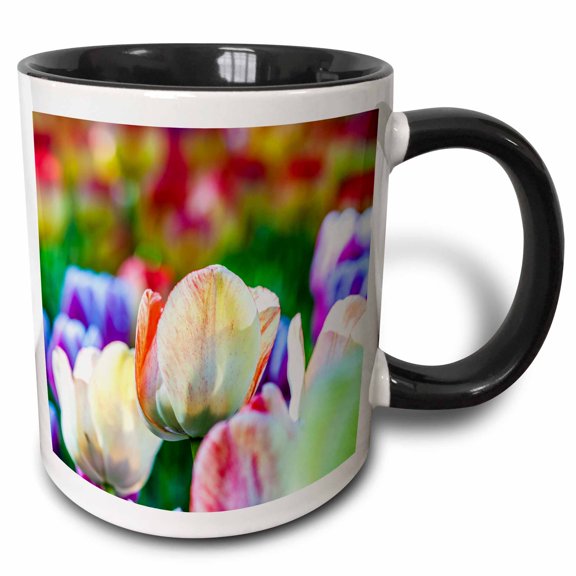 3drose, Creme Tulip Flowers on a Multicolor Flowerbed. Beauty of Spring, 11oz Two-tone Black Mug