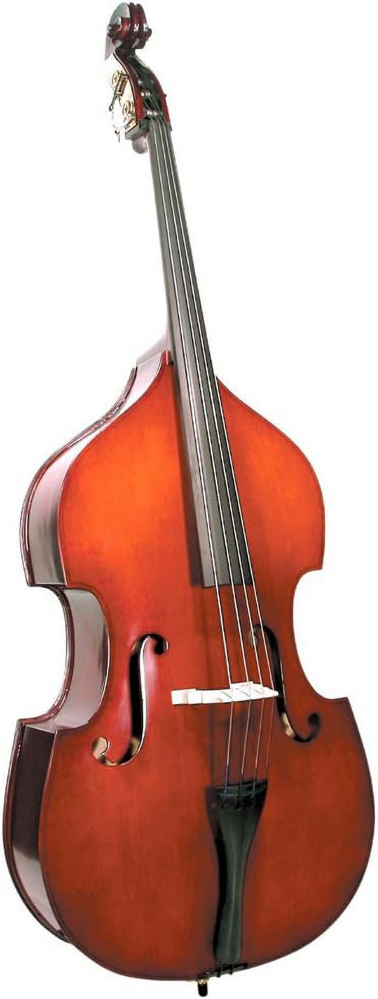 Polished Maple and Spruce Acoustic Upright Bass