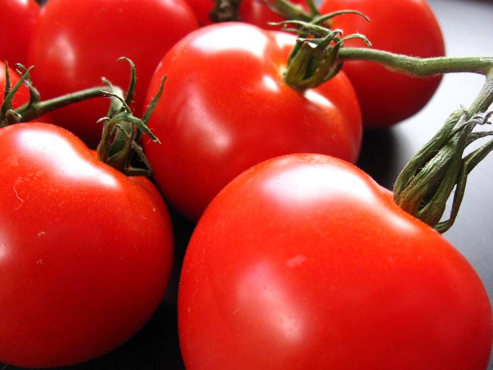 Creole Tomato Plant - Louisiana Heirloom - Some Like It Hot - 4" Pot