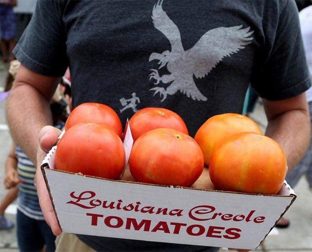 Creole Tomato The Famous MMF7 New Orleans Louisiana Premium Seed Packet