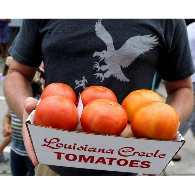 Creole Tomato The Famous MMF7 New Orleans Louisiana Premium Seed Packet