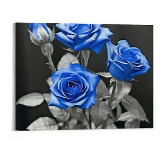 画材 BLUE ROSE 画材 BLUE ROSE Blue Roses Images