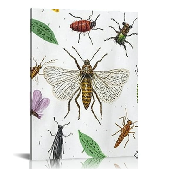 Creowell Bugs Insects Print On Canvas Wall Art Home Decor Living Room Bathroom Bedroom Office 12x16/16x20 Inches 16x20in