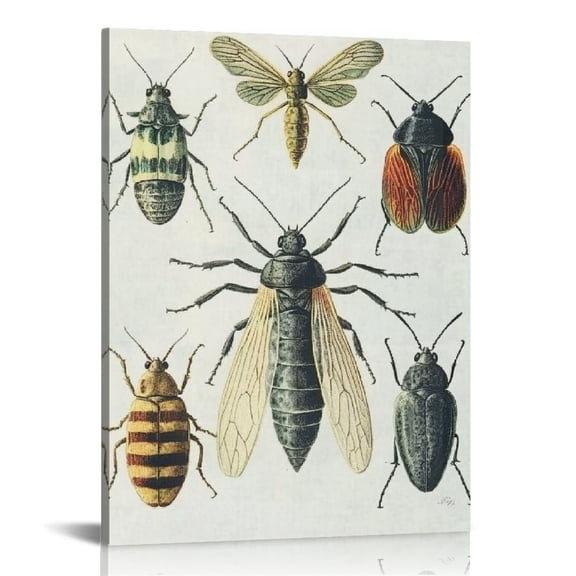 Creowell Bugs Insects Wall Art Modern Canvas Prints Home Decor Living Room Bathroom Bedroom Office 12x16in