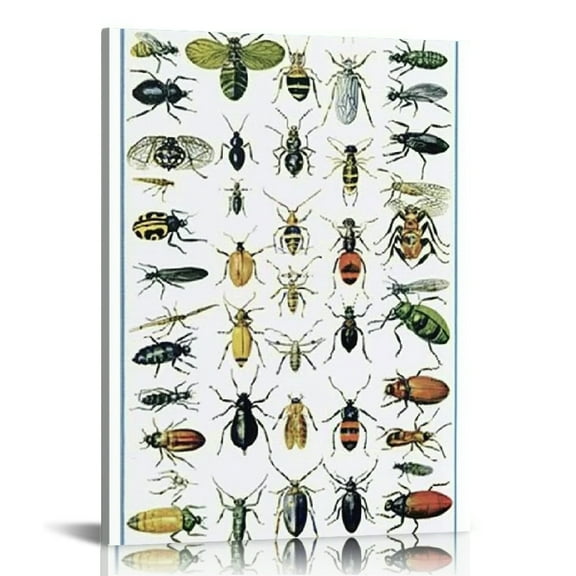Creowell Bugs Ready to Hang Canvas Prints Wall Art Home Decor 12x16in