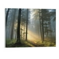 thumbnail image 1 of Creowell Canvas Print Fall Decor Scenic Path Through the Forest 20x16in, 1 of 3