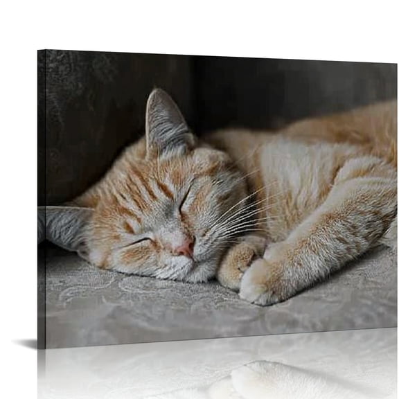Creowell Cat Couch Sleeping Wall Art Canvas Prints Home Decor 20x16in