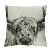 Creowell Cow Decorative Pillow Cover，Interesting Highland Cow Print Decorative Pillows Cover Home Decorative Cushion Cover for Couch Sofa Bed (Multi Size)