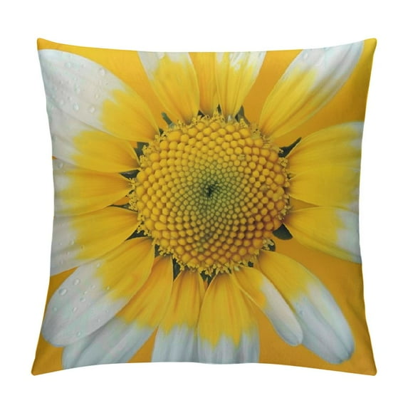 Creowell Daisy Big Bright Daisy Round Pillow with Hidden Zipper Decorative Home Decor Square Indoor/Outdoor Throw Pillowcase，Multi-Size