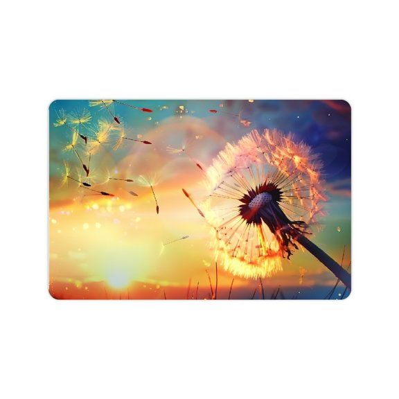 Creowell Dandelion Fast Absorption Home Diatom Mud Mats Non-Slip 24x16in