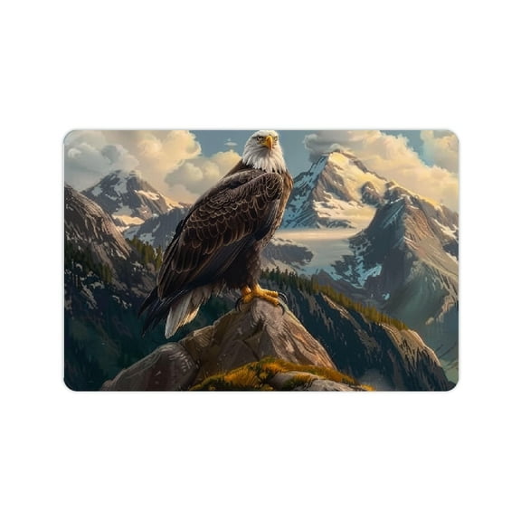 Creowell Eagle Mountains Rock Diatom Mud Bath Mat Non-Slip Home 24x16in