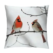 Creowell Fall Decor Art Bird Red Pillow Covers for Couch Sofa Indoor Outdoor Zipper Closure 1PC 12x12in