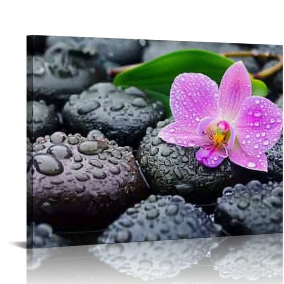 Creowell Flowers Rocks Water Droplets Canvas Prints Wall Art 20x16in