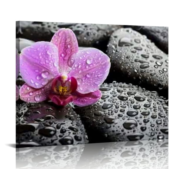 Creowell Flowers Rocks Water Droplets Canvas Wall Art Decor 16x12in