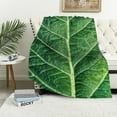 thumbnail image 1 of Creowell  Food Lettuce Blanket Cozy Soft Lightweight Flannel Throw Blanket for Bed Sofa Travel All Season  50x60in, 1 of 6