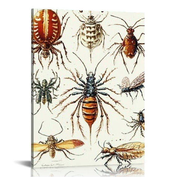 Creowell Insects Bugs Wall Decor for Bathroom and Home, Canvas Print Art for Living Room Bedroom Office, Perfect Gift Idea 12x16in