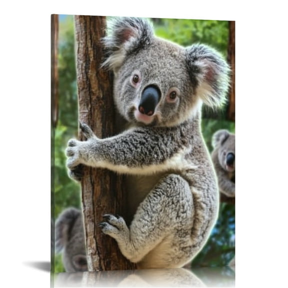 Creowell Koala Bear Wall Decor Canvas Print Art for Home Office 16x20in