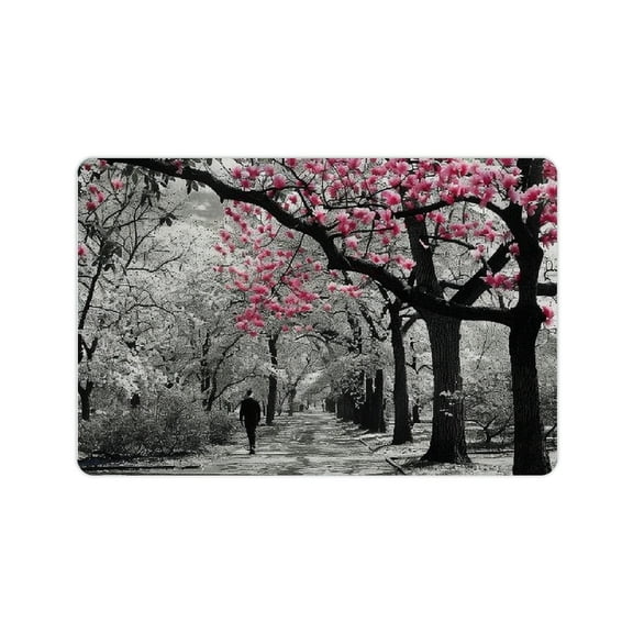 Creowell Man In Park Diatom Mud Mats Non-Slip Quick Drying Home Rug 24x16in