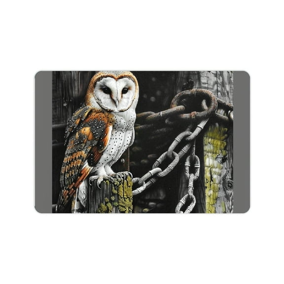 Creowell Owl Diatom Mud Bath Mat Non-Slip Quick Drying Home Decor 24x16in