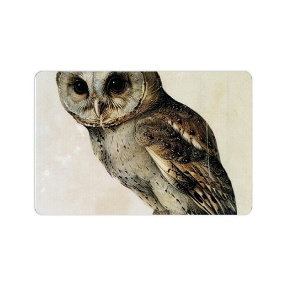 Creowell Owl Diatom Mud Mats Non-Slip Eco-Friendly Home Rug 24x16in
