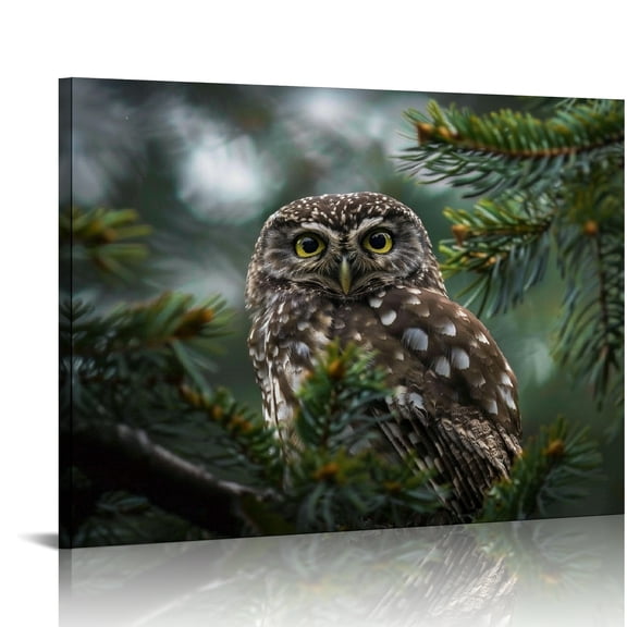 Creowell Owl Pine Tree Branch Forest Canvas Print Wall Art 20x16in