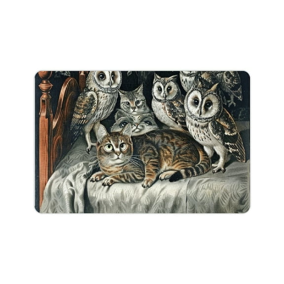Creowell Owls Cat Fast Absorption Home Diatom Mud Mats Non-Slip 24x16in