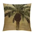 thumbnail image 1 of Creowell Palm Tree Throw Pillow Case Hawaiian Tropical Palms Leaf Vintage Green Yellow Decorative  Square Cushion Covers Pillowcase Couch Sofa Men/Women  White, 1 of 5