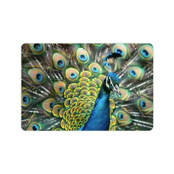 Creowell Peacock Feathers Diatom Mud Bath Mat Quick Drying Home Decor 24x16in