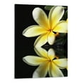 thumbnail image 1 of Creowell Plumeria Flower Wall Art Yellow Flower Black and White Picture Canvas Print Wall Painting Modern Artwork Wall Décor for Bedroom Living Room Bathroom Office (16x20inch), 1 of 3