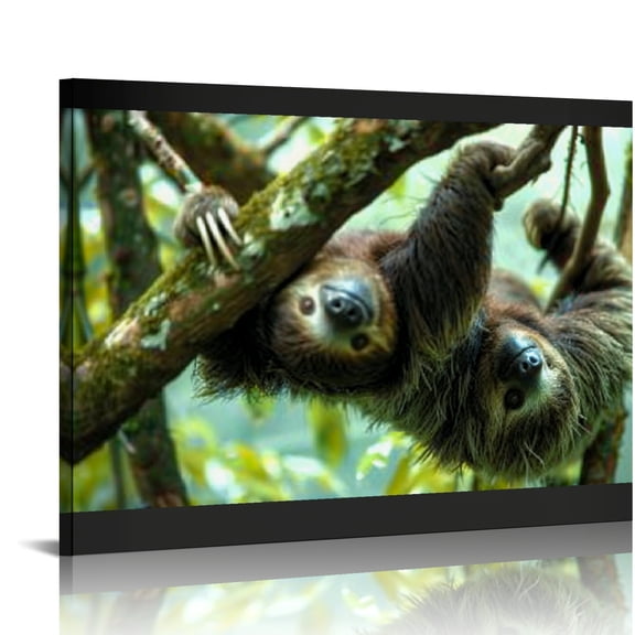 Creowell Sloth Tree Branch Canvas Wall Art Prints Ready To Hang 20x16in