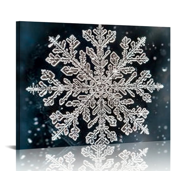 Creowell Snowflake Ice Canvas Wall Art Prints Ready To Hang Decor 20x16in