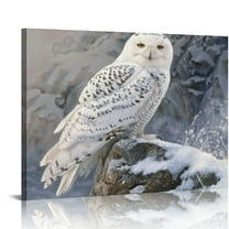 Creowell Snowy Owl Canvas Wall Art Ready To Hang Home Decor 16x12in