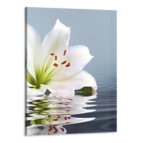 Creowell  Wall Art White Madonna Lily and Stone in Water Painting The Picture Print On Canvas Flower Pictures for Home Decor Decoration Gift  (Stretched and Frame,Ready to Hang)- 16x20inch