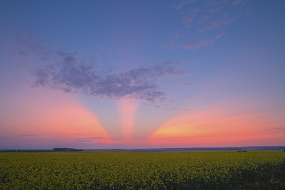 Crepuscular rays at sunset Alberta Canada Canvas Art - Alan DyerStocktrek Images (18 x 12)