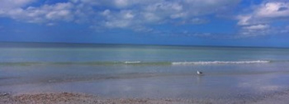 Crescent Beach Gulf Of Mexico Florida Canvas Art - Panoramic Images (34 x 12)