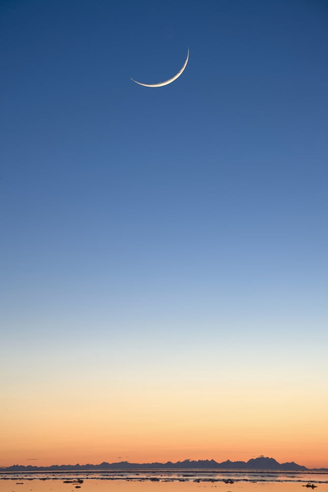Cresent Moon Rising At Sunset Over Cook Inlet Near Elderberry Park In Anchorage Southcentral Alaska Winter Composite Canvas Art - Hal Gage Design Pics (24 x 38)