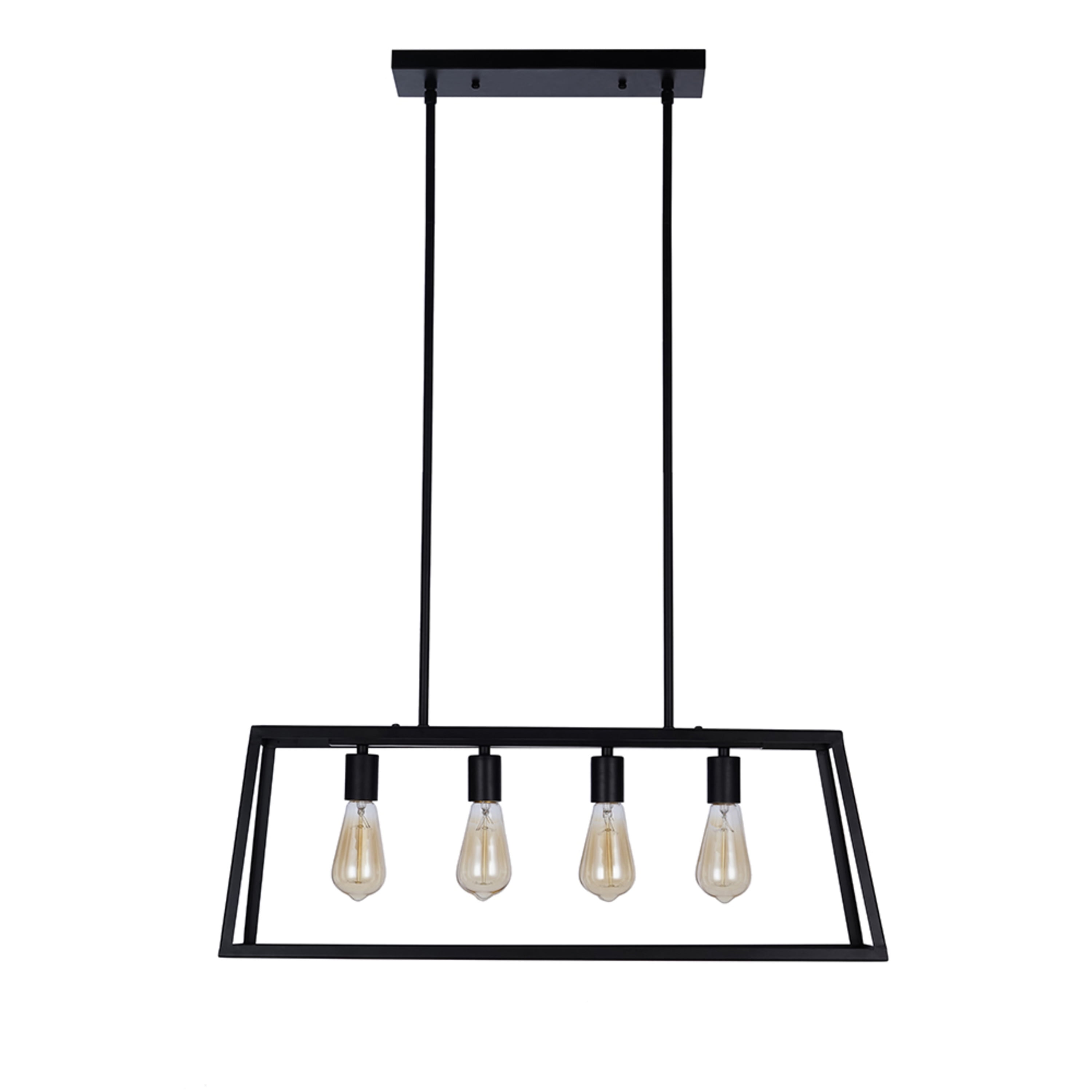 Matte Black Industrial Cage 30" Pendant Light with LED Bulbs