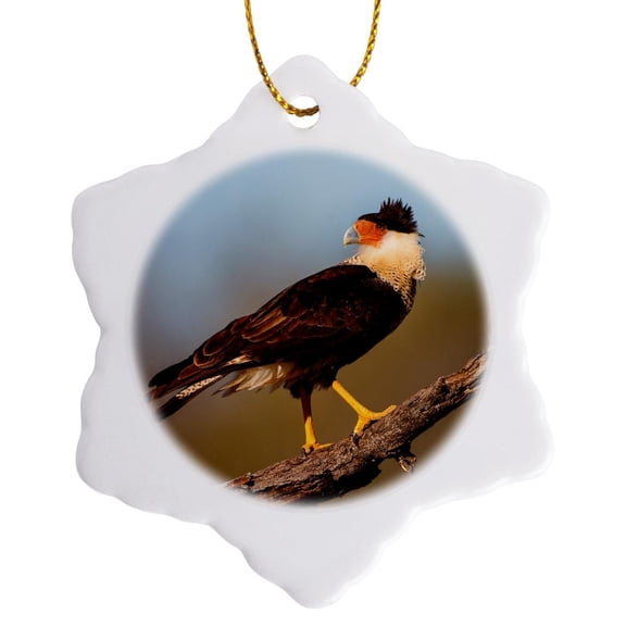 3drose, Crested Caracara, Caracara Cheriway, Perched, 3 inch Snowflake Porcelain Ornament