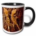 thumbnail image 1 of 3drose, Crested Gecko Lizard, Native to New Caledonia - Na02 Dno0817 - David Northcott, 11oz Two-tone Black Mug, 1 of 6