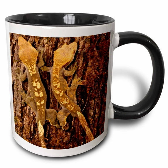 3drose, Crested Gecko Lizard, Native to New Caledonia - Na02 Dno0817 - David Northcott, 11oz Two-tone Black Mug